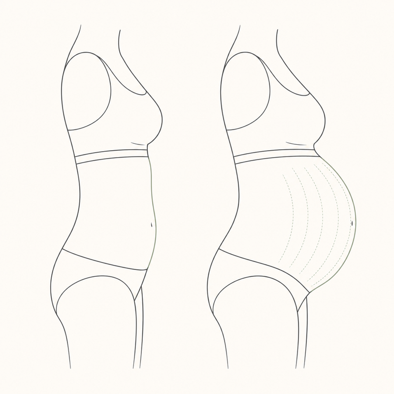 Hängebauch nach der Geburt? Bauch nach Geburt straffen mit dem Twist Crawler