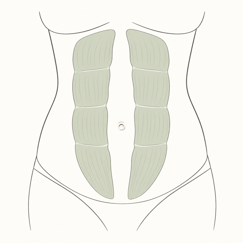 Hängebauch nach der Geburt? Bauch nach Geburt straffen mit dem Twist Crawler