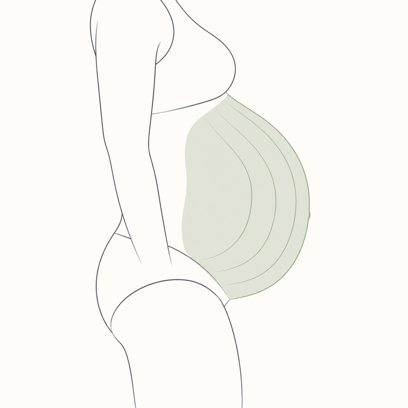Hängebauch nach der Geburt? Bauch nach Geburt straffen mit dem Twist Crawler